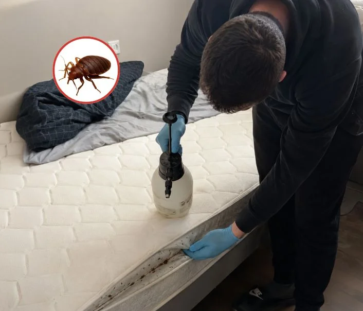 Technicien traitant un matelas contre les punaises de lit à Nanteuil-lès-Meaux